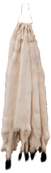 Ermine or White Weasel - Case skinned