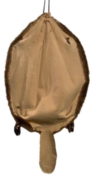 Beaver Pelt Complete W/Tail & Feet
