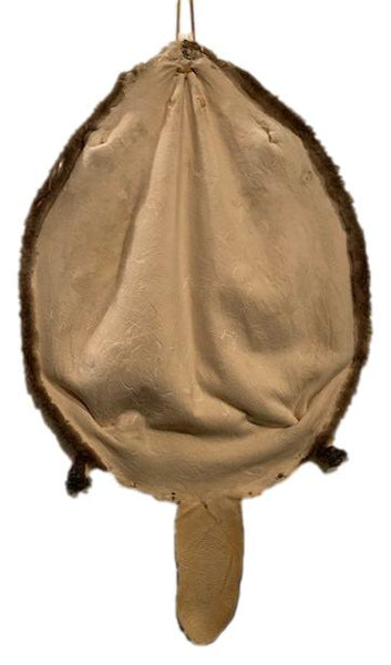 Beaver Pelt Complete W/Tail & Feet