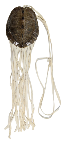 Small Maps Turtle Bag