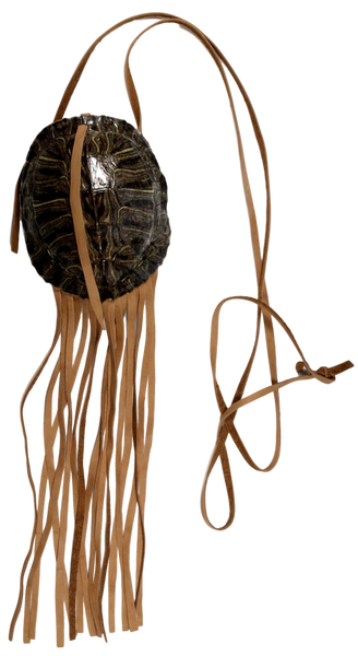 Small Red Eared Slider Turtle Bag