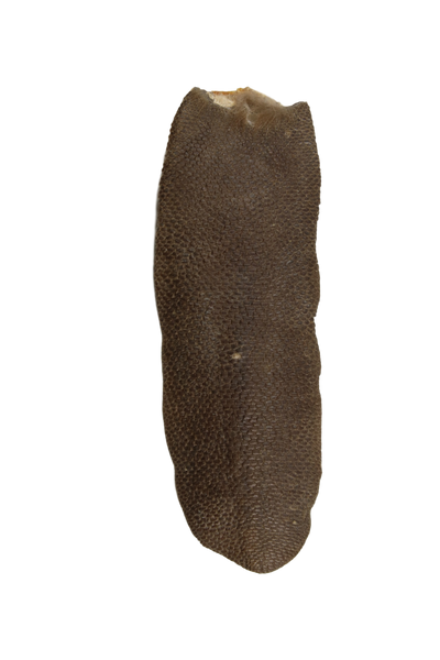 Medium Tanned Beaver Tails in Various Lengths