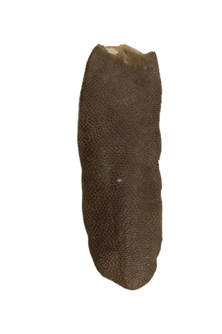 Medium Tanned Beaver Tails in Various Lengths