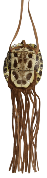 Small Red Eared Slider Turtle Bag