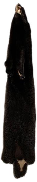 Mink - Black Color Complete with Front Feet / Partial Tail