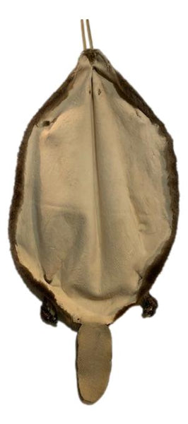 Beaver Pelt Complete W/Tail & Feet