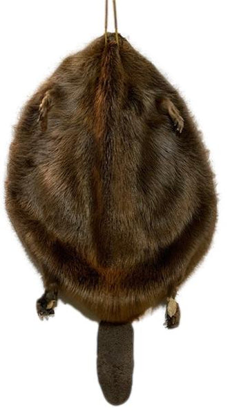 Beaver Pelt Complete W/Tail & Feet