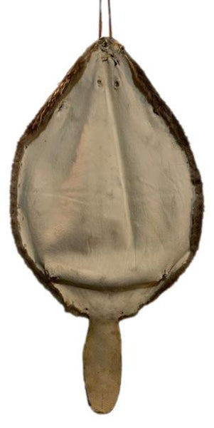 Beaver Pelt W/Tail