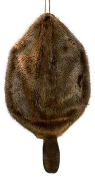 Beaver Pelt W/Tail