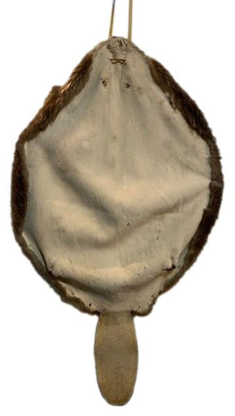 Beaver Pelt W/Tail