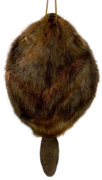 Beaver Pelt W/Tail