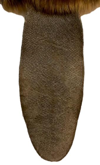 Beaver Pelt W/Tail