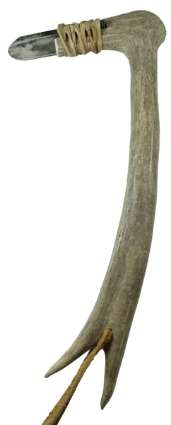 Deer Horn Scraper - Wahintke with Blade