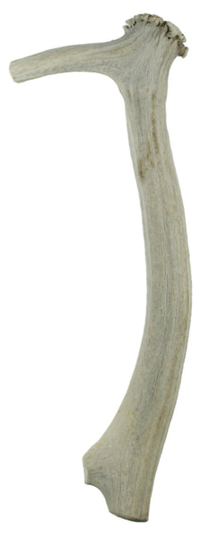 Elk Horn Scraper Handle - Wahintke - Off White Handle only