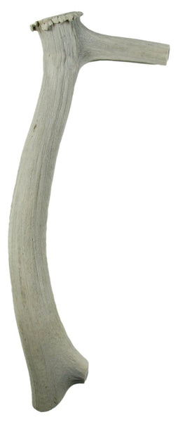 Elk Horn Scraper Handle - Wahintke - Off White Handle only