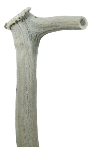 Elk Horn Scraper Handle - Wahintke - Off White Handle only