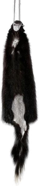 Skunk Pelt W/Tail