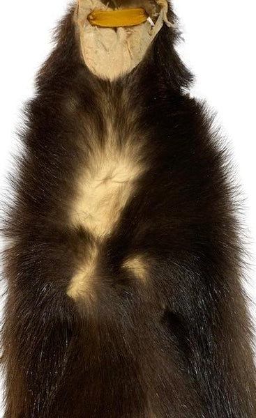 Skunk Pelt W/Tail