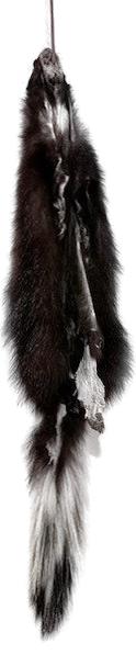 Skunk Pelt W/Tail & Feet