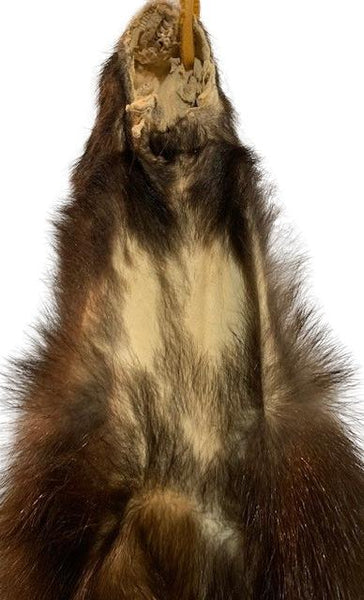 Skunk Pelt W/Tail & Feet