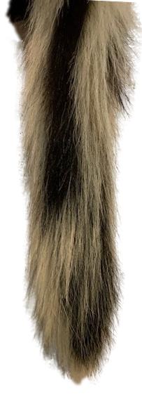 Skunk Pelt W/Tail & Feet