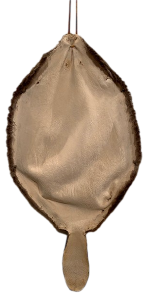 Beaver Pelt W/Tail