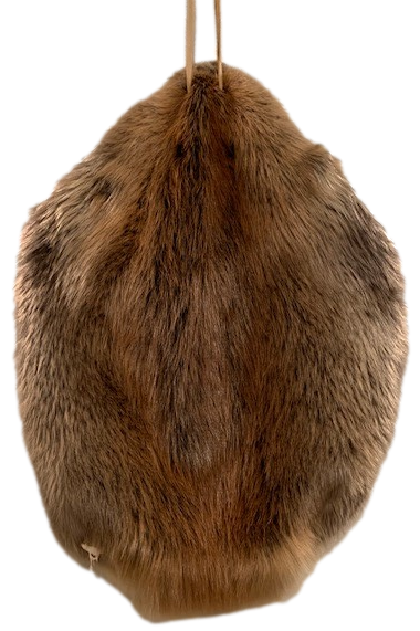 Beaver Pelt
