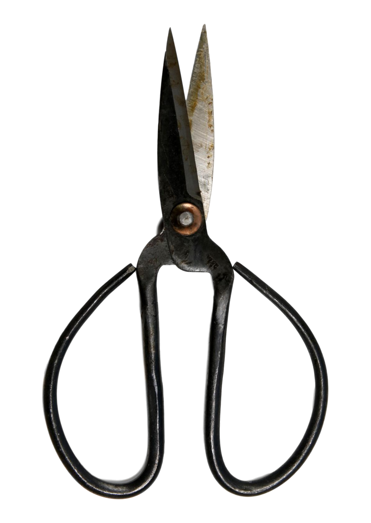 Medium Spear Wire Reenactment Scissors