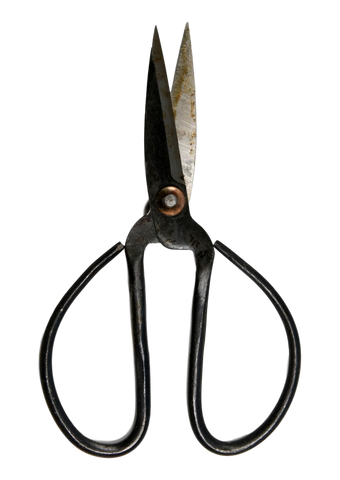 Medium Spear Wire Reenactment Scissors