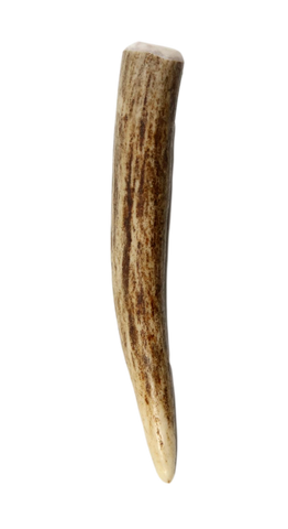 Deer Antler Tips - Approximately 2-1/2" - 4" Long W/No Hole