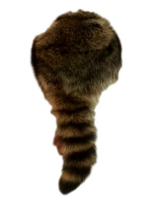 Raccoon Hat W/Tail