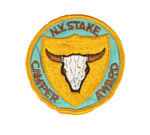 N.Y. Stake Camper Award PP